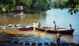 Rudern auf dem Hammerschmiedesee