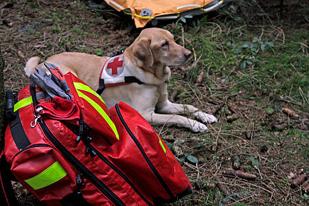 Notfallrucksack bei einem Rettungshundeeinsatz