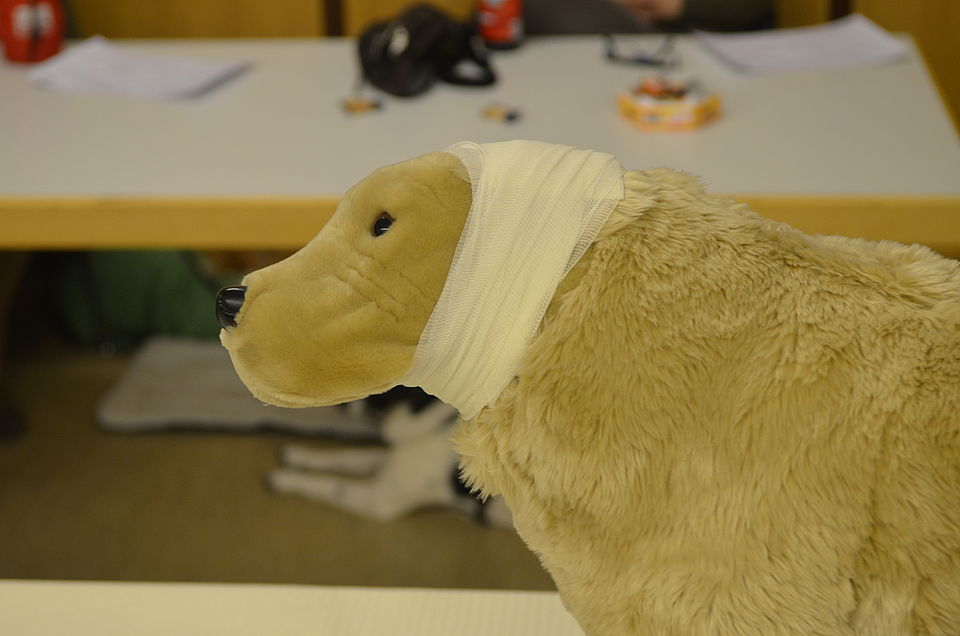 Spezieller Ohrverband